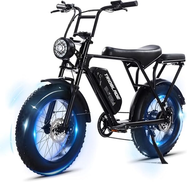 Electric Bike for Adults 750W/1000W Motor, 20" X4 Fat Tire ebikes